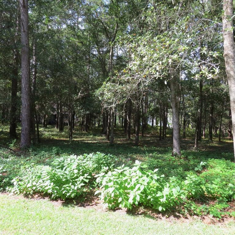 3187 Channel Drive - Photo 1