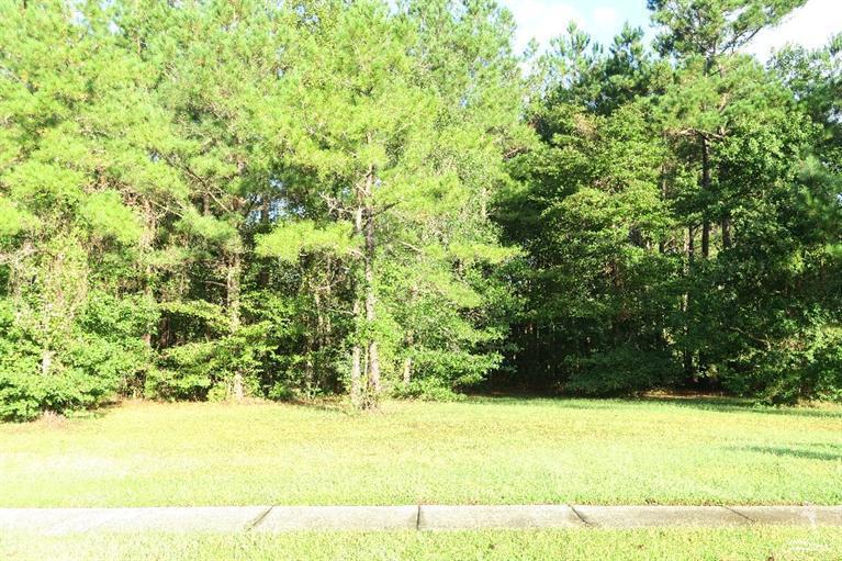 1196 Moultrie Drive - Photo 1