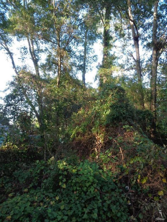 0 Steeple View Way - Photo 1