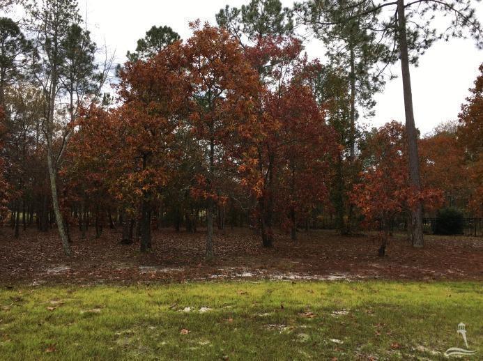 398 Cypress Ridge Drive - Photo 1
