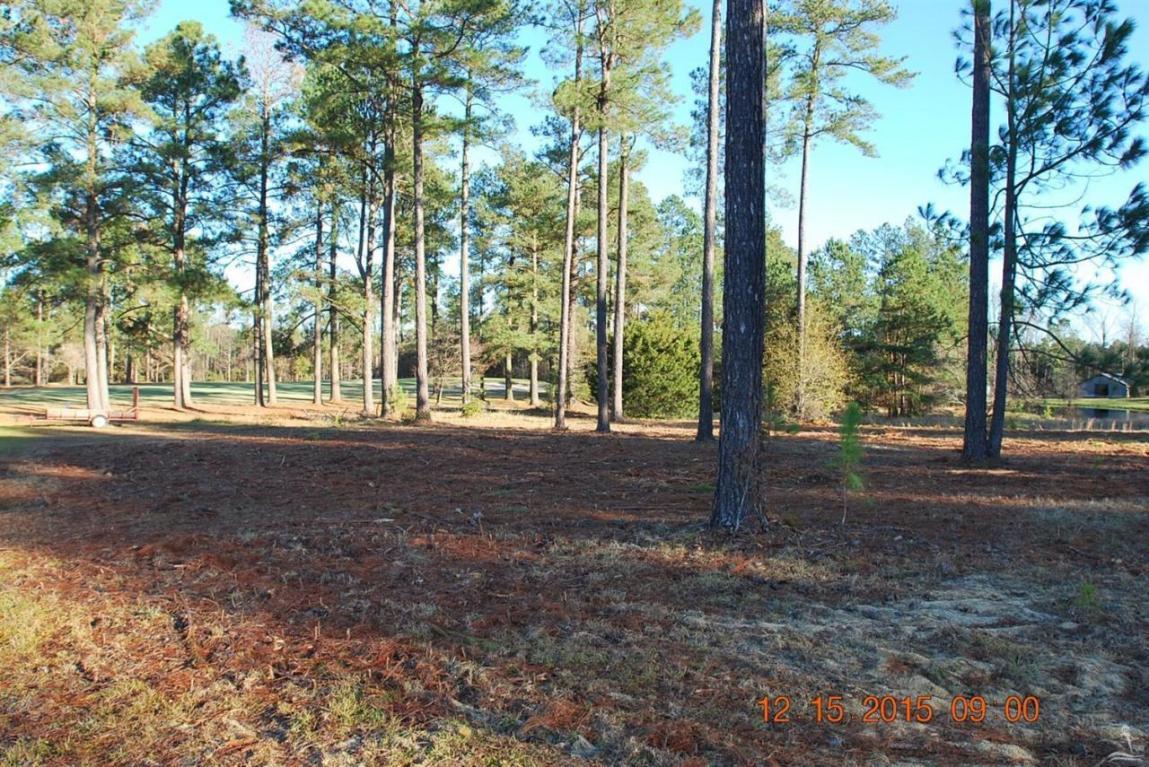 1 Bill Hooks Road Road - Photo 1