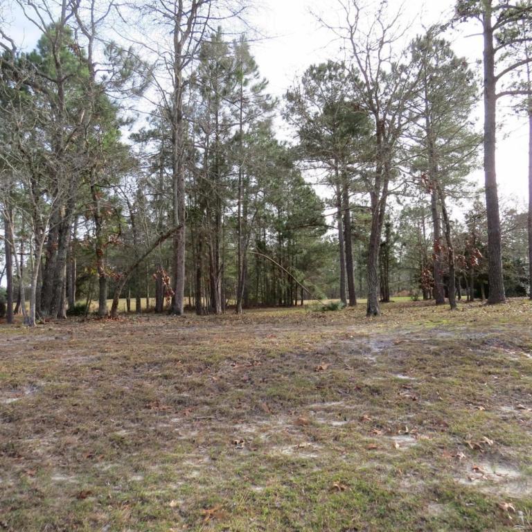 410 Cypress Ridge Drive - Photo 1