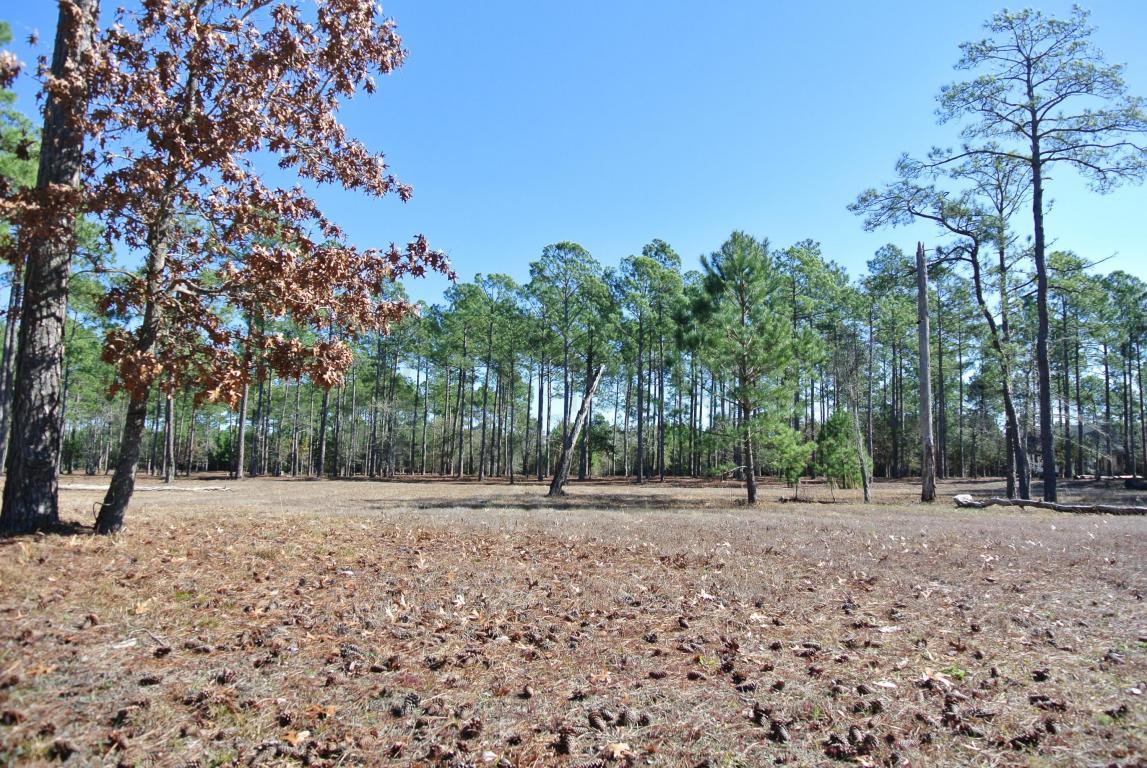 660 Breezewood Drive - Photo 1