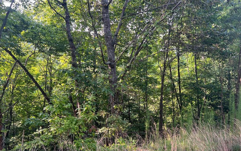 https://bt-photos.global.ssl.fastly.net/ncreg/orig_boomver_1_206c0590857465dc16767b4477bf720b-2.jpg