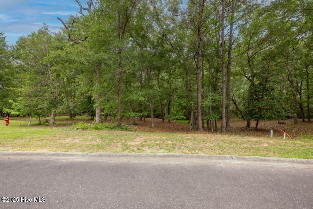 Lot 21 Bay Creek Drive - Photo 1