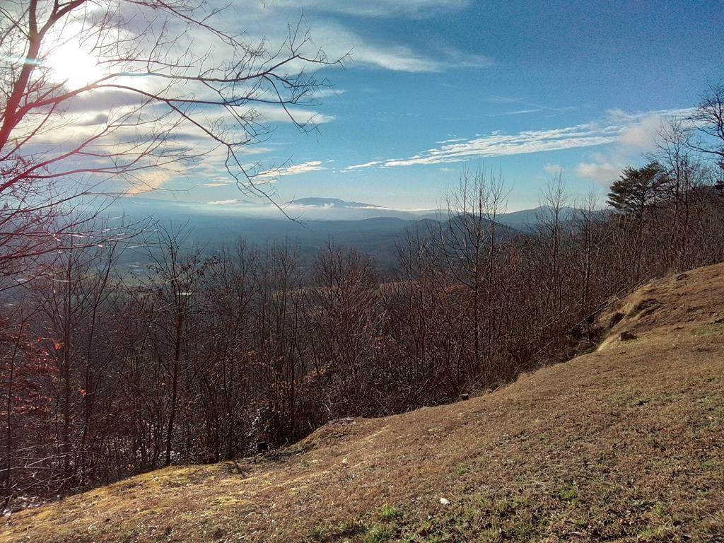1500 Bear Mountain Road - Photo 1