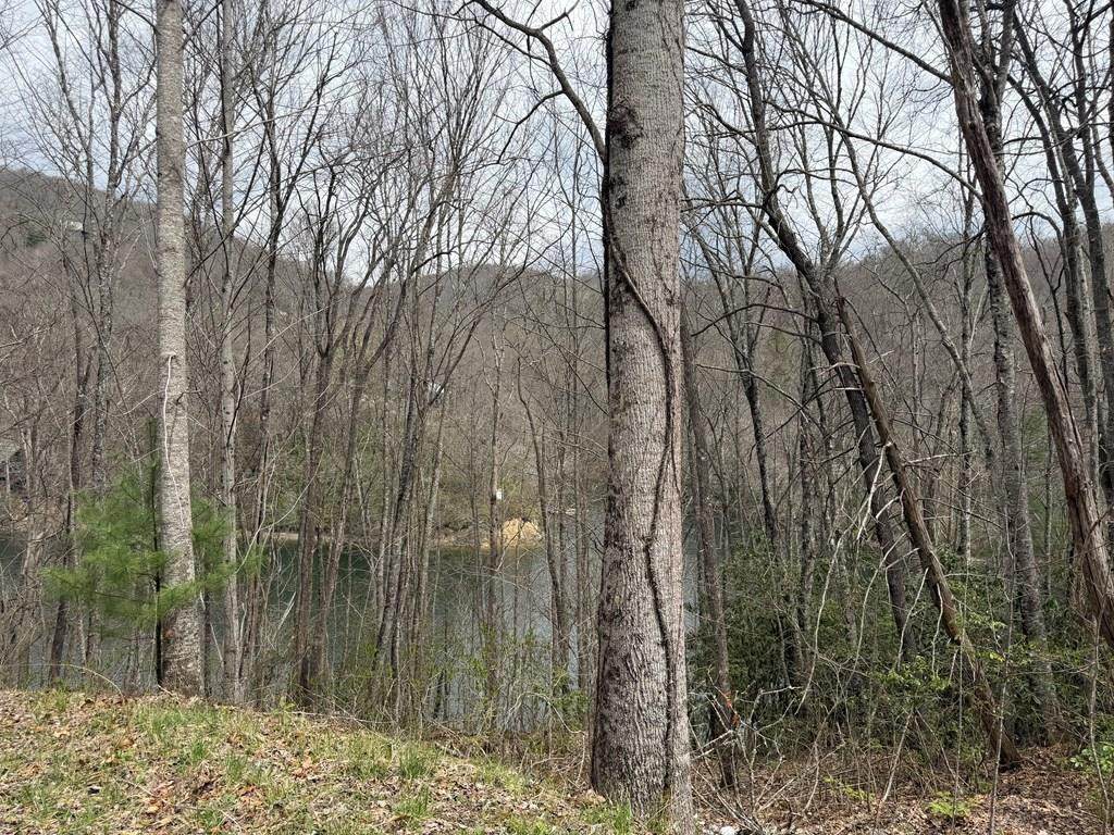 #20 Rainwater Point / Indian Lake Road - Photo 1