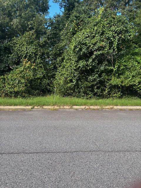 3908 Carolyn Street - Photo 1