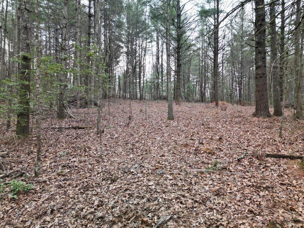 Lot #29 Liberty Road - Photo 1