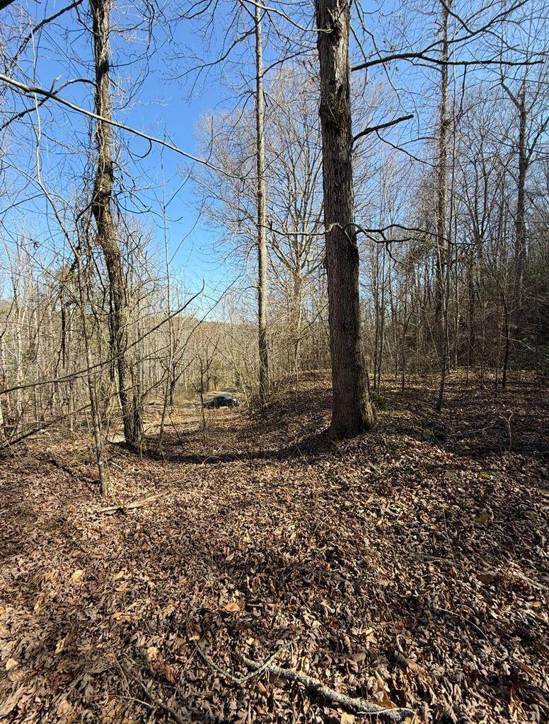 TBD Royal Oaks Trail - Photo 1