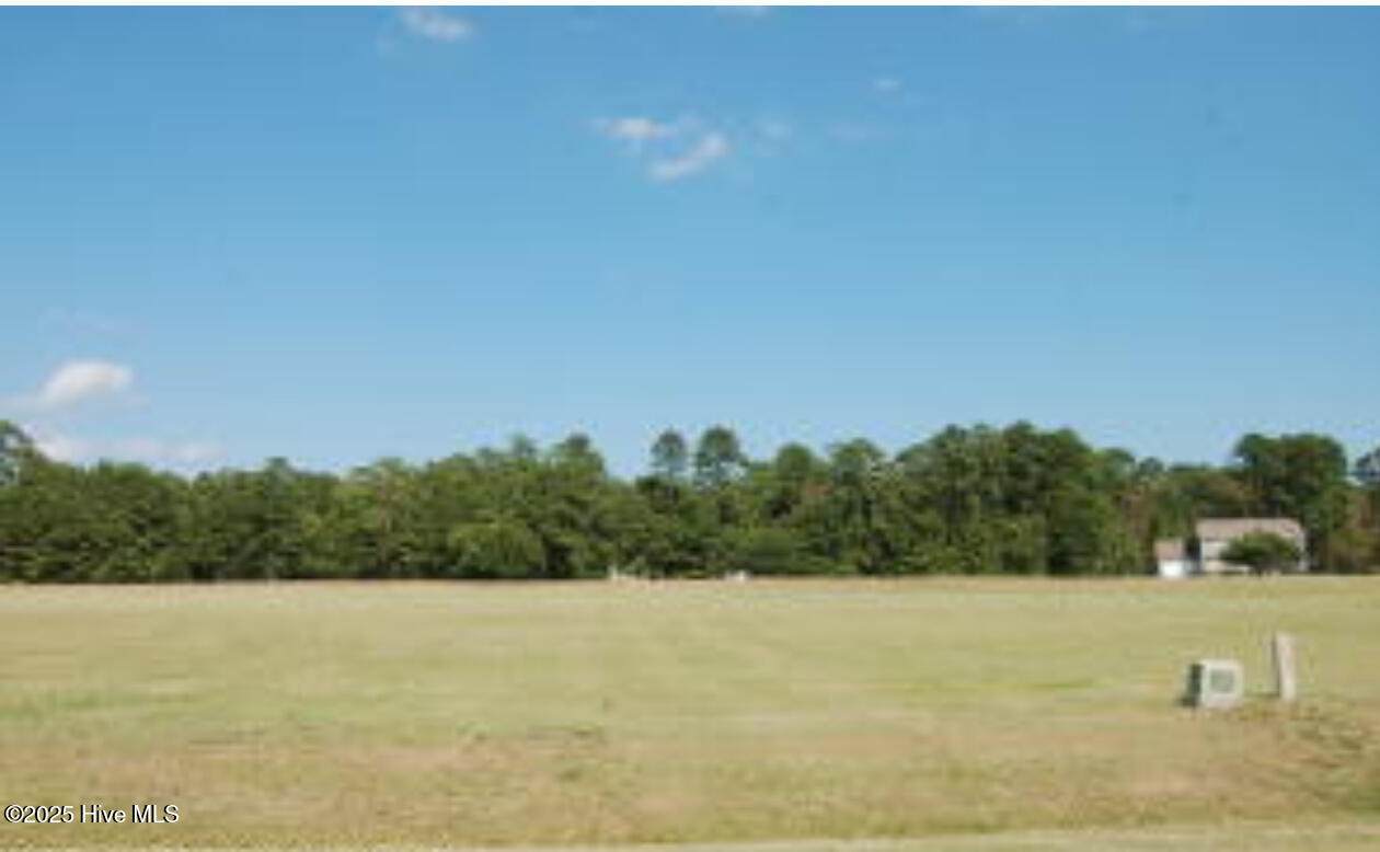 210 Long Creek Drive - Photo 1