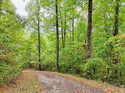 Lot 1 Skyview Drive - Photo 1