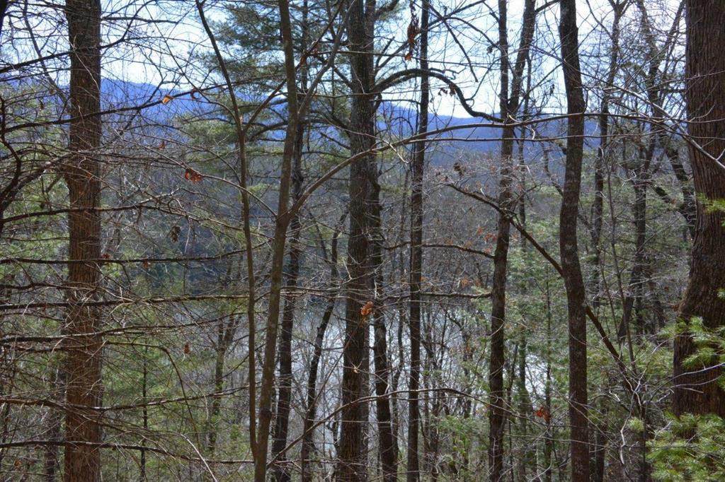 00 Chestnut Ridge - Photo 1