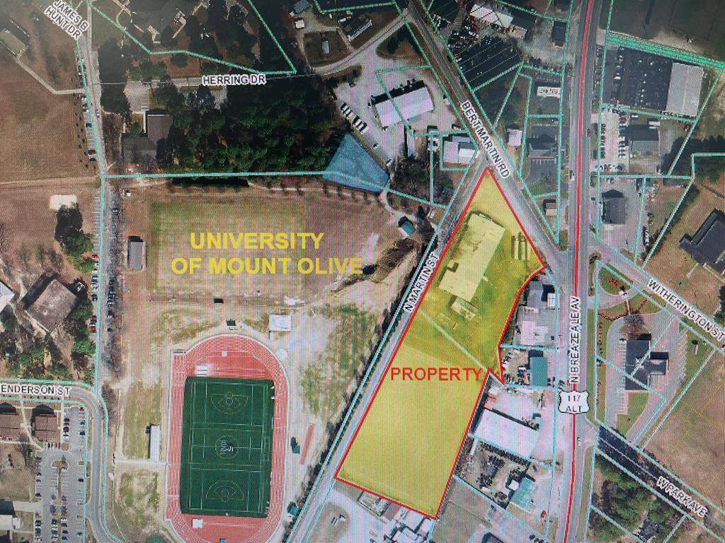 103 Bert Martin Road - Photo 1