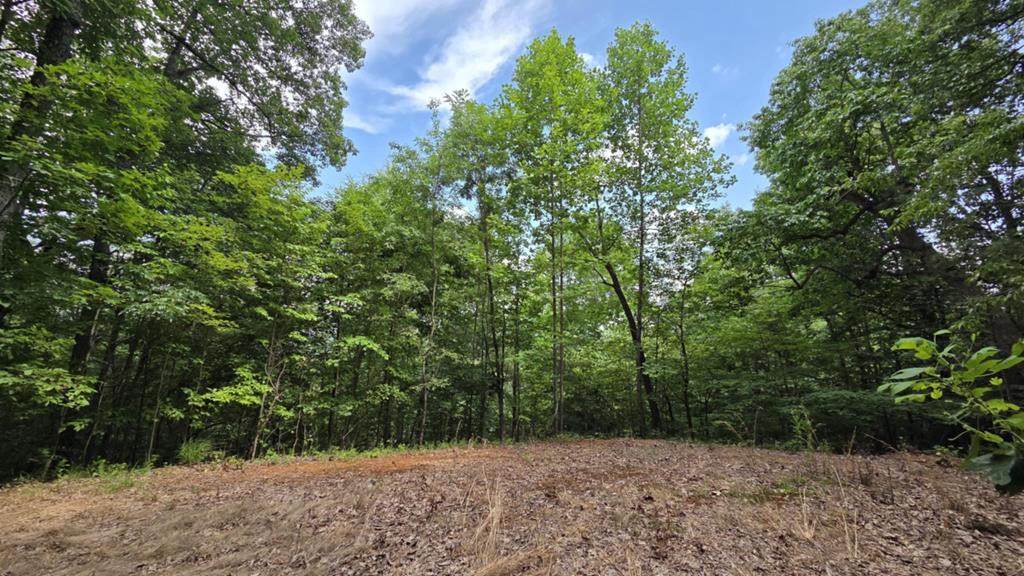 75 Talon Drive - Photo 1