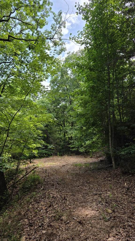 https://bt-photos.global.ssl.fastly.net/ncreg/orig_boomver_1_29d95303447e8fd64469d29c1e06a69c-2.jpg