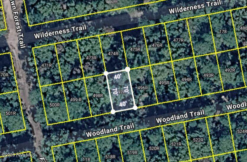 497 Woodland Trail - Photo 1