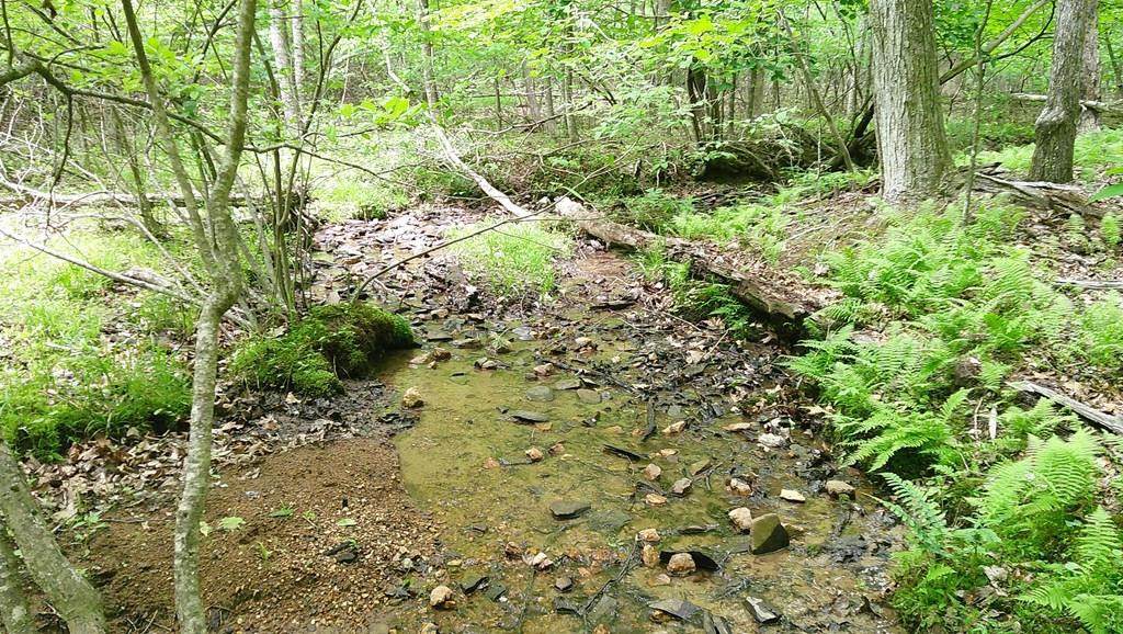 00 Tracks Hollow - Photo 1