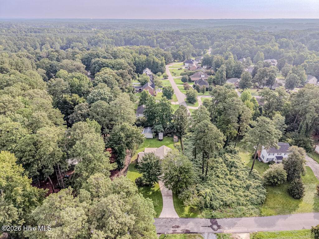1911 Owls Nest Road - Photo 1