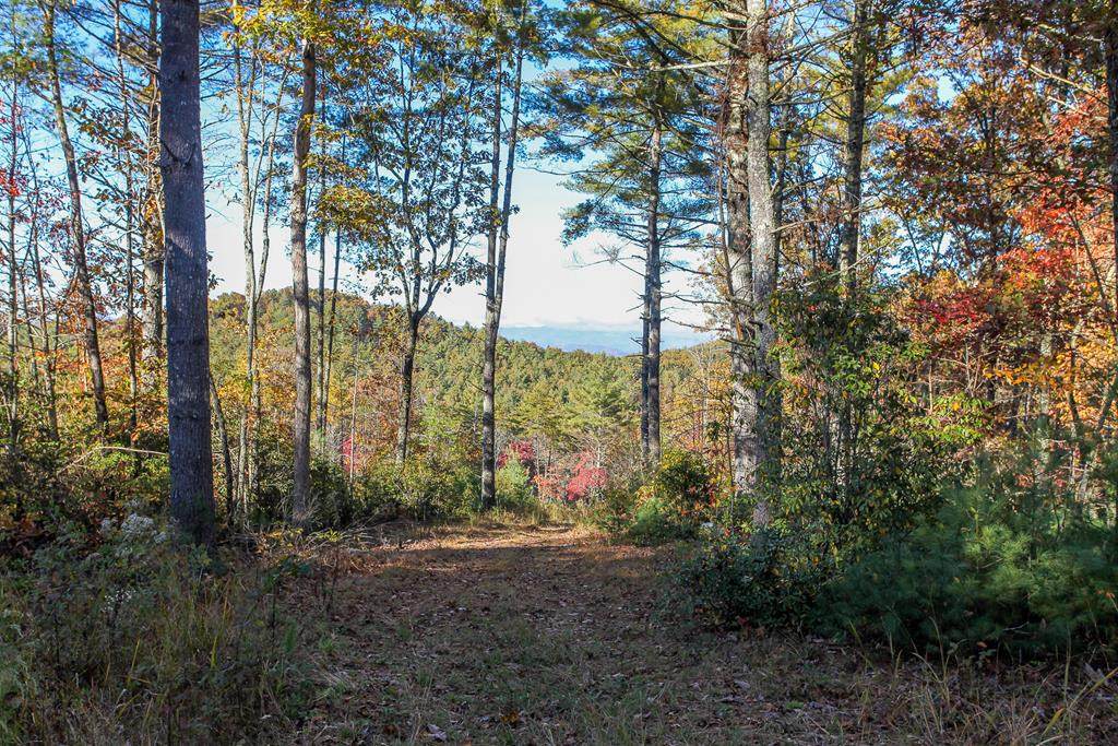 26/27 Bear Ridge Trail - Photo 1