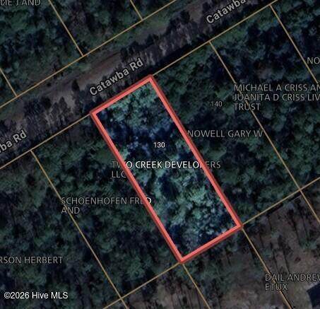 130 Catawba Road - Photo 1