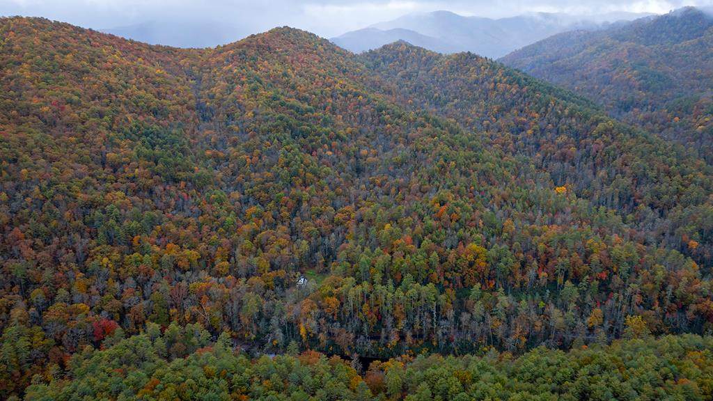 139 Land Iu Gap Road - Photo 1