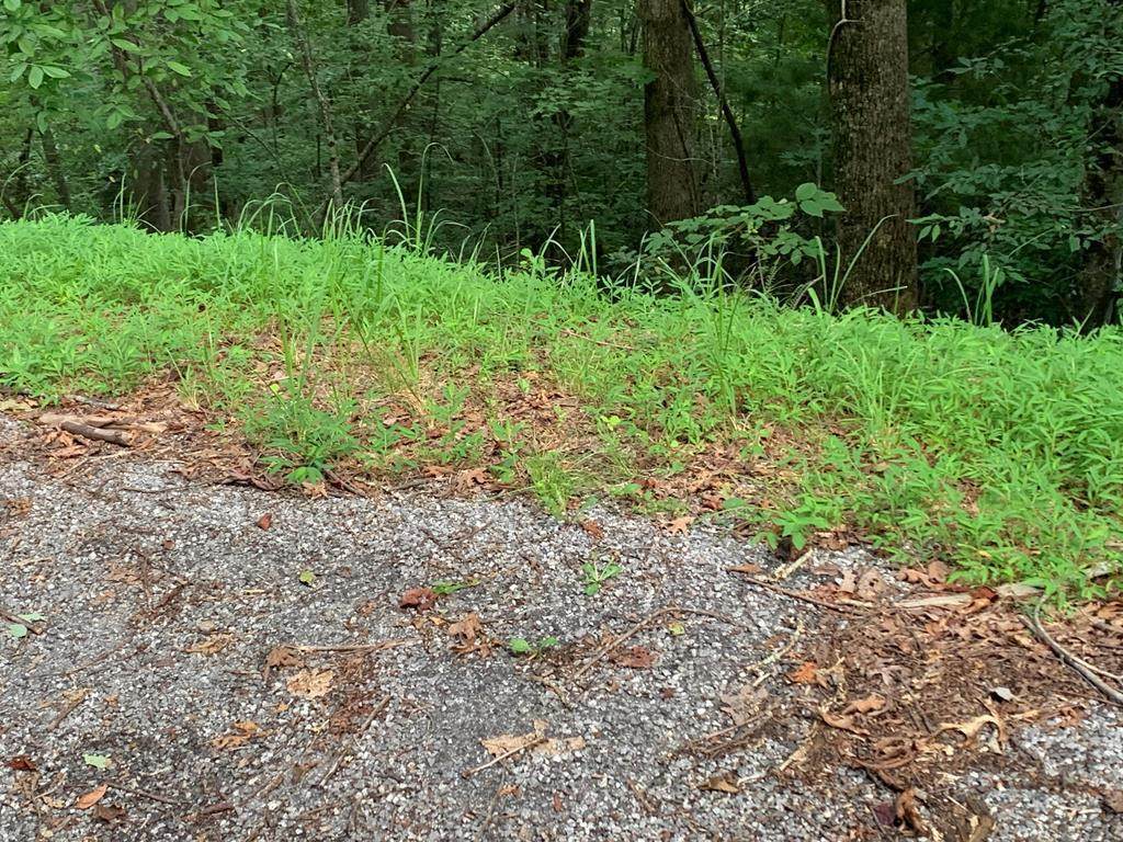 43 Laurel Lane - Photo 1