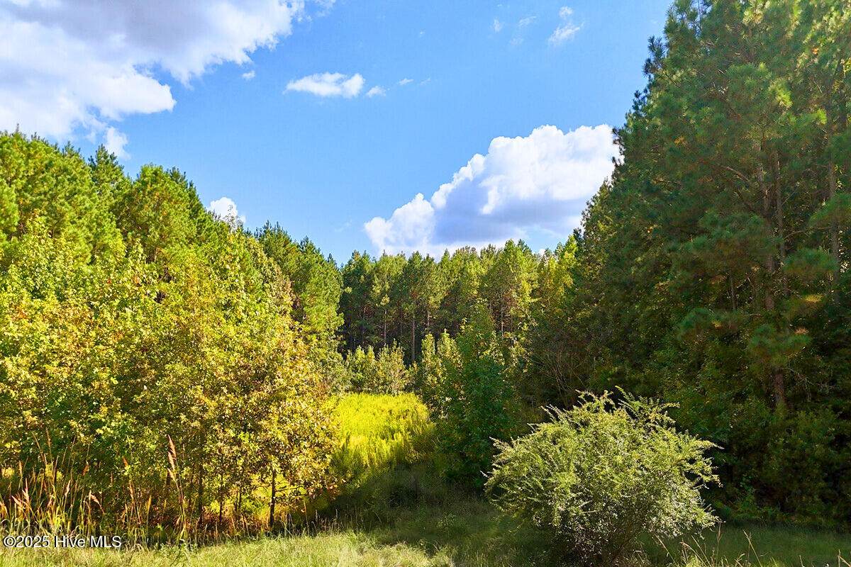 9631 New Sandy Hill Church Road - Photo 1