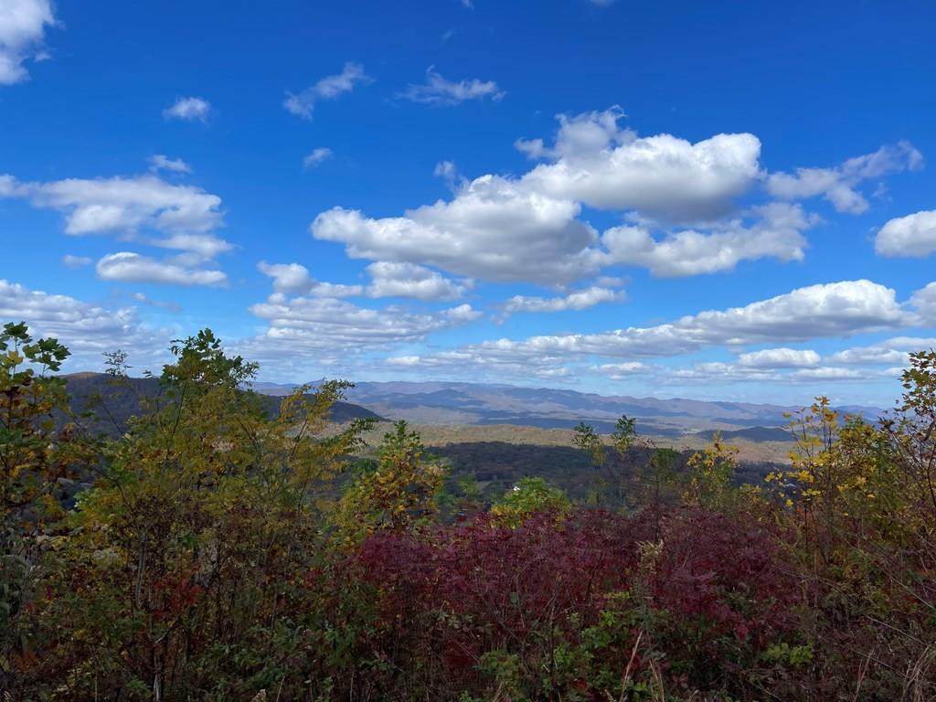 0 Brasstown Heights - Photo 1