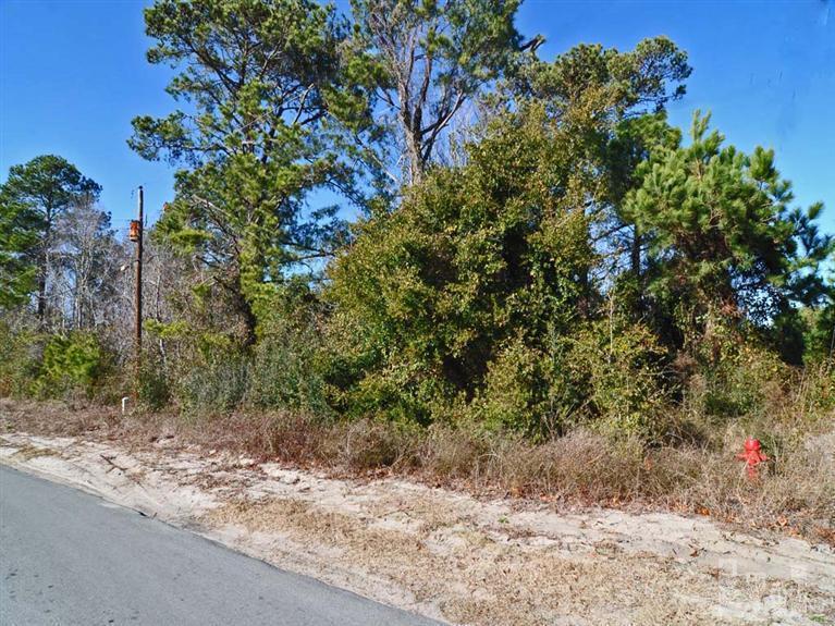 539 Manassas Drive, Wilmington, NC 28409 (MLS #30498586) :: Century 21 Sweyer & Associates