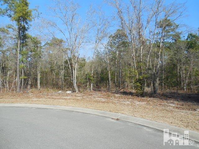 195 Cypress Point - Photo 1