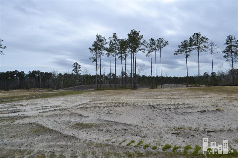 1435 Cape Fear National Drive - Photo 1