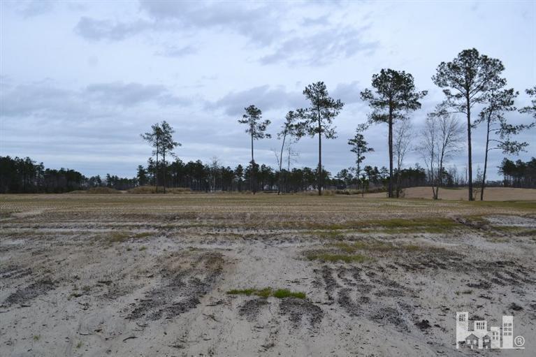 1319 Cross Water Circle, Leland, NC 28451 (MLS #30525349) :: Century 21 Sweyer & Associates