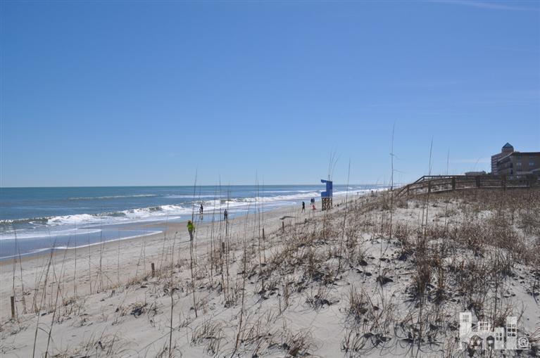 310 N Carolina Beach Avenue N, Carolina Beach, NC 28428 (MLS #30528049) :: Century 21 Sweyer & Associates