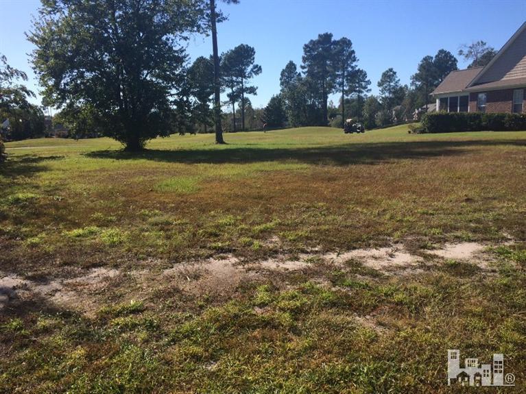 1208 Grandiflora Drive - Photo 1
