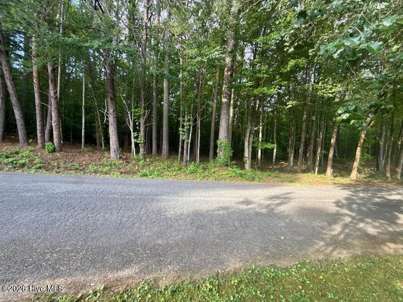 Lot #5 Tennessee 68 - Photo 1