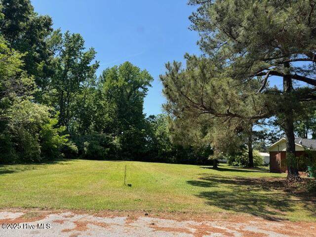 413 Pecan Street - Photo 1