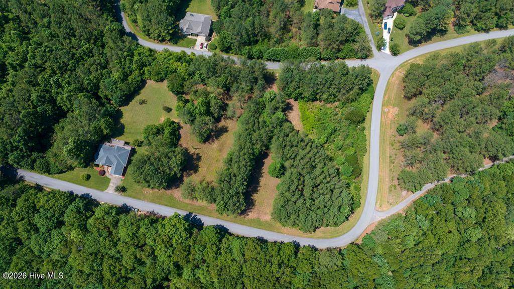 Lot 20 Loftis Mountain Way - Photo 1