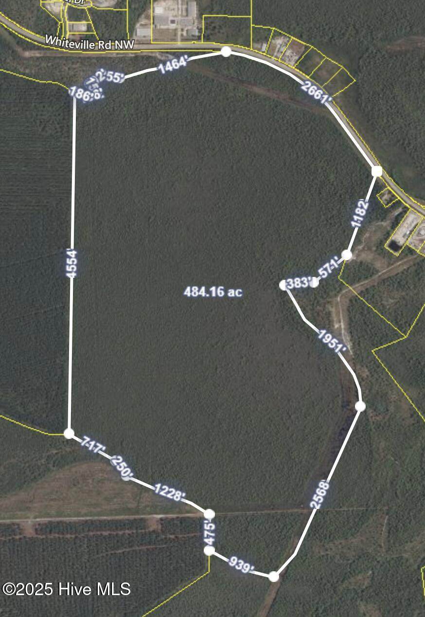 483.10 Whiteville Road - Photo 1