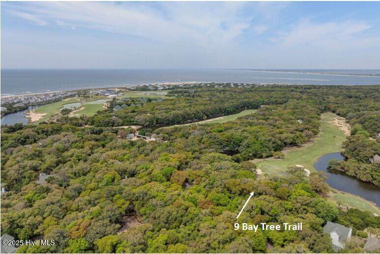 9 Bay Tree Trail - Photo 1