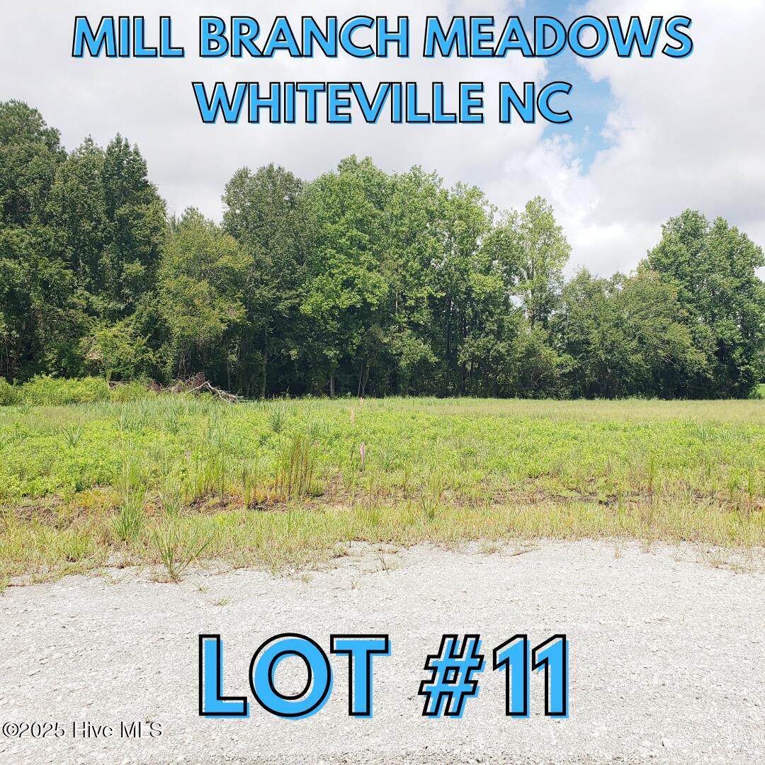 112 Mill Branch Drive - Photo 1