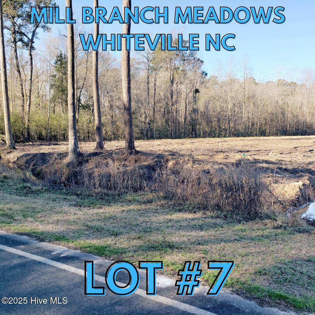 1834 Harrelsonville Road - Photo 1