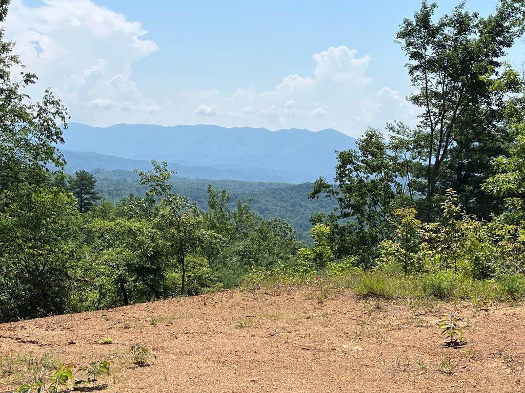 501 Clifftop Trail - Photo 1