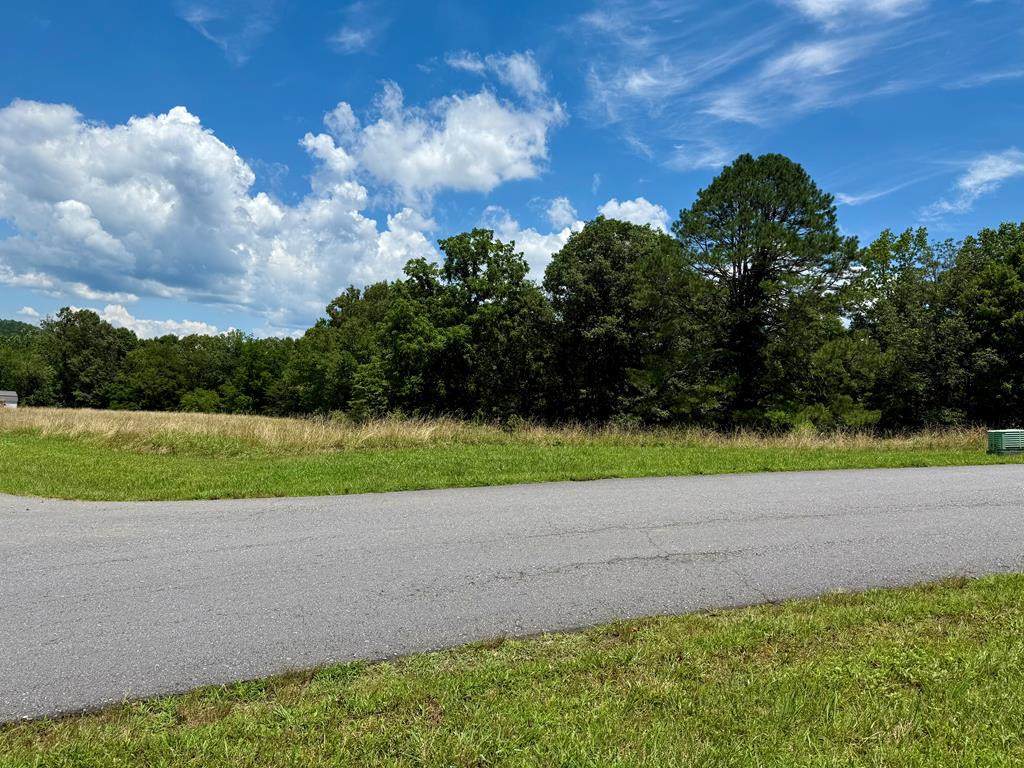 0 Dewey Lane - Photo 1