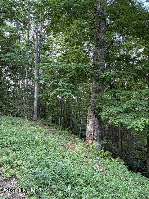 Lot 59 Quiet Mountain Trail - Photo 1