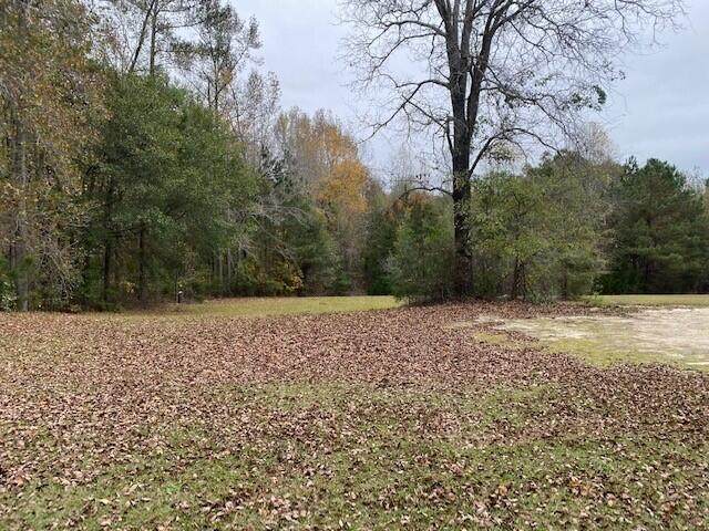 6384 Cobbham Road - Photo 1