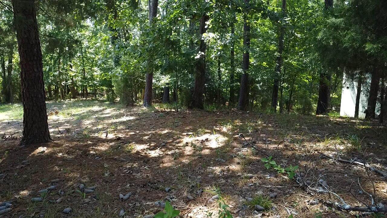 45 Wildmeade Court - Photo 1