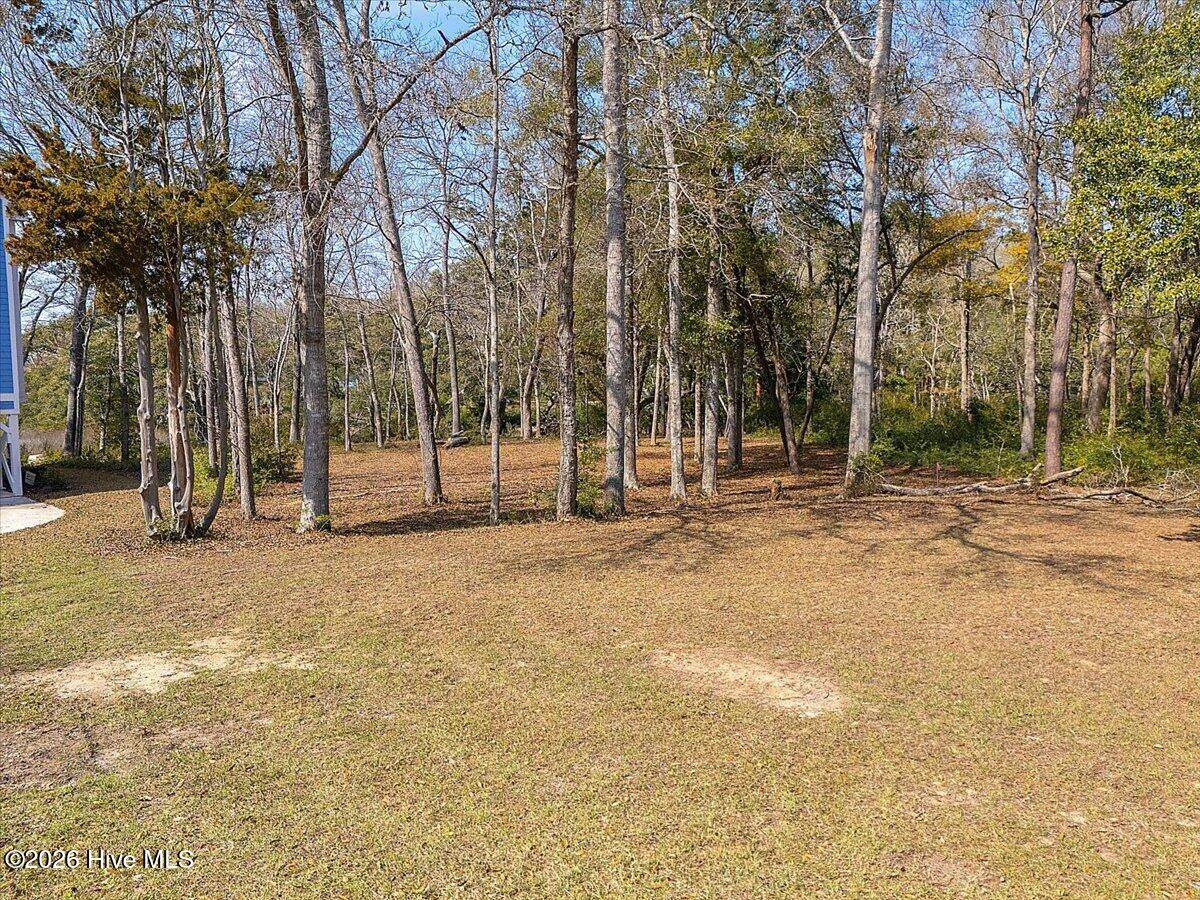 2021 Healing Water Lane - Photo 1