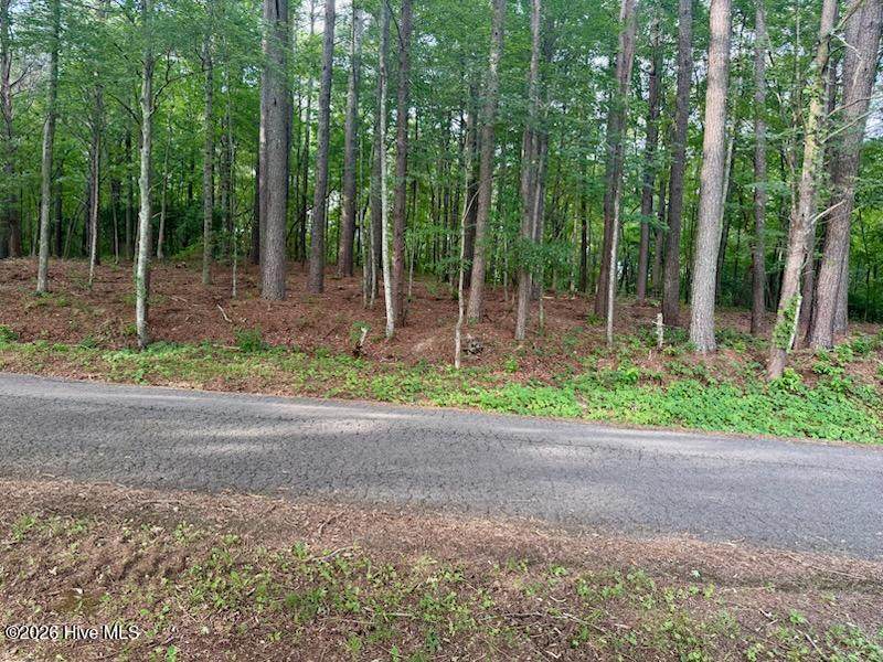 Lot 3 Tennessee 68 - Photo 1