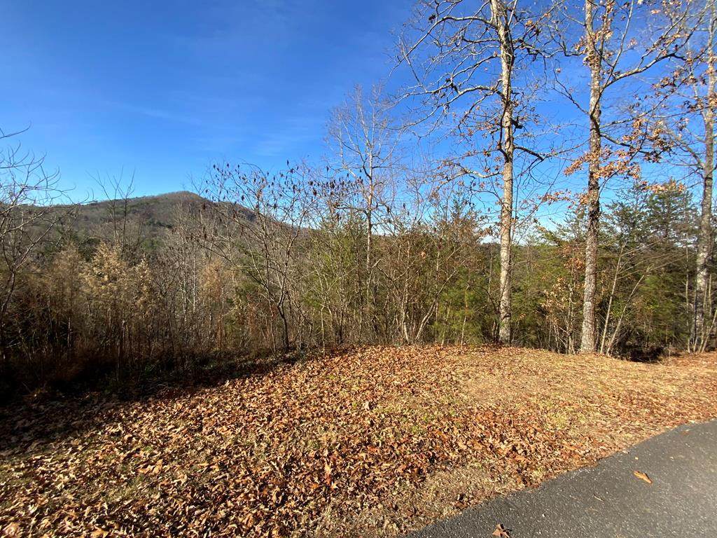 00 Brasstown View - Photo 1